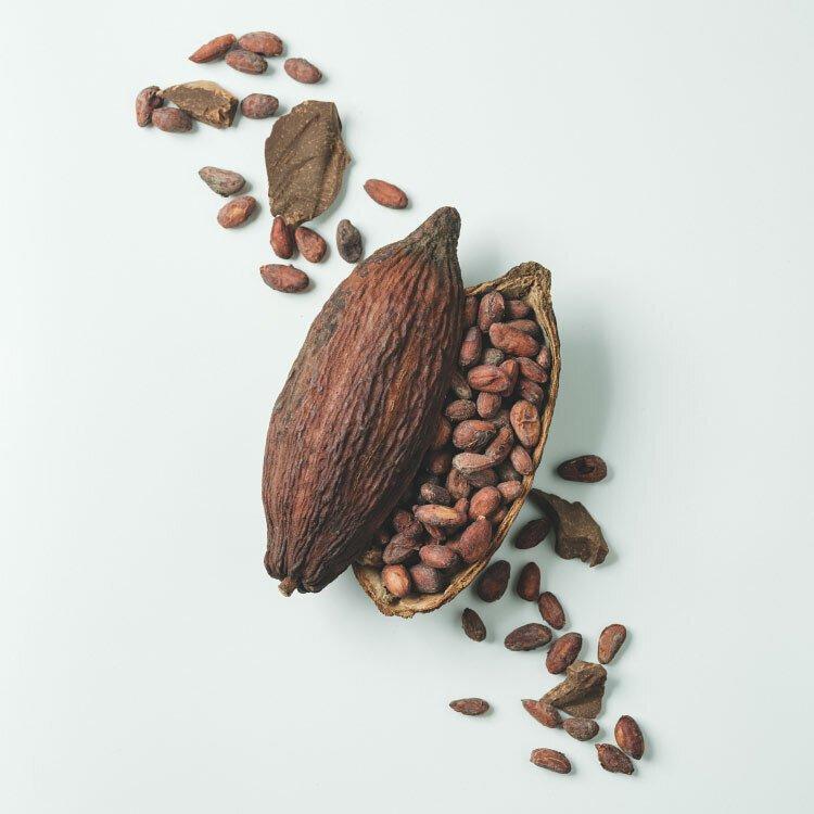 Vancouver bean to bar chocolate artisan Chef Paul Dincer
