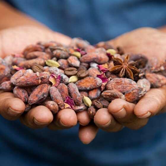 Vancouver bean to bar chocolate pioneer Koko Monk